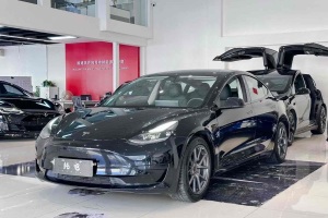 Model 3 特斯拉 改款 標(biāo)準(zhǔn)續(xù)航后驅(qū)升級(jí)版