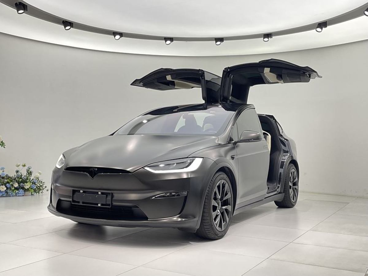 2024年7月特斯拉 Model X  2023款 雙電機全輪驅動版