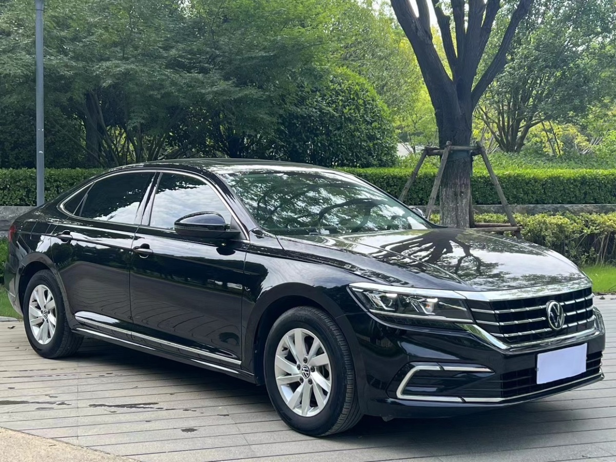 大眾 帕薩特  2021款 280TSI 商務(wù)版圖片