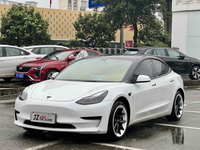 2021年4月 特斯拉 Model 3 標(biāo)準(zhǔn)續(xù)航后驅(qū)升級版圖片