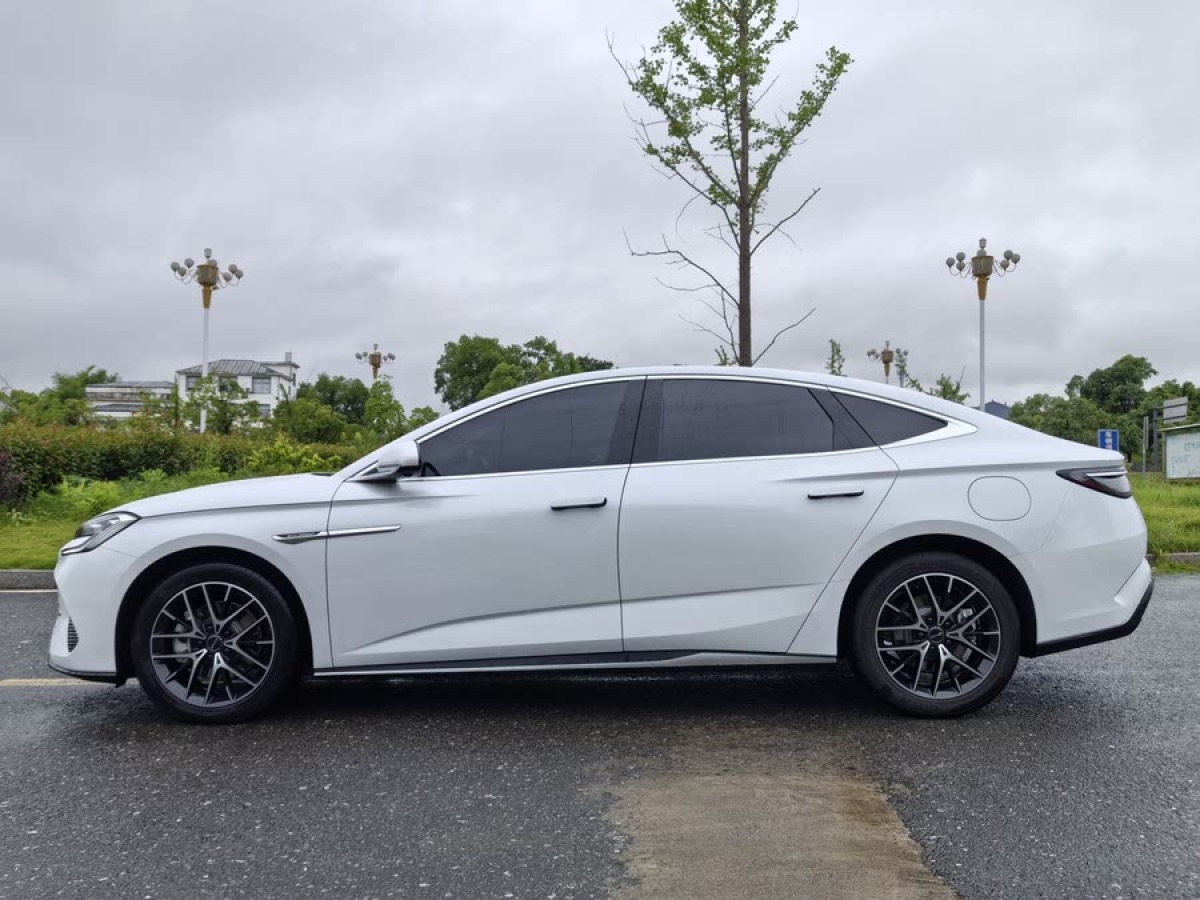 比亞迪 海豹  2023款 DM-i 1.5L 121km 豪華型圖片
