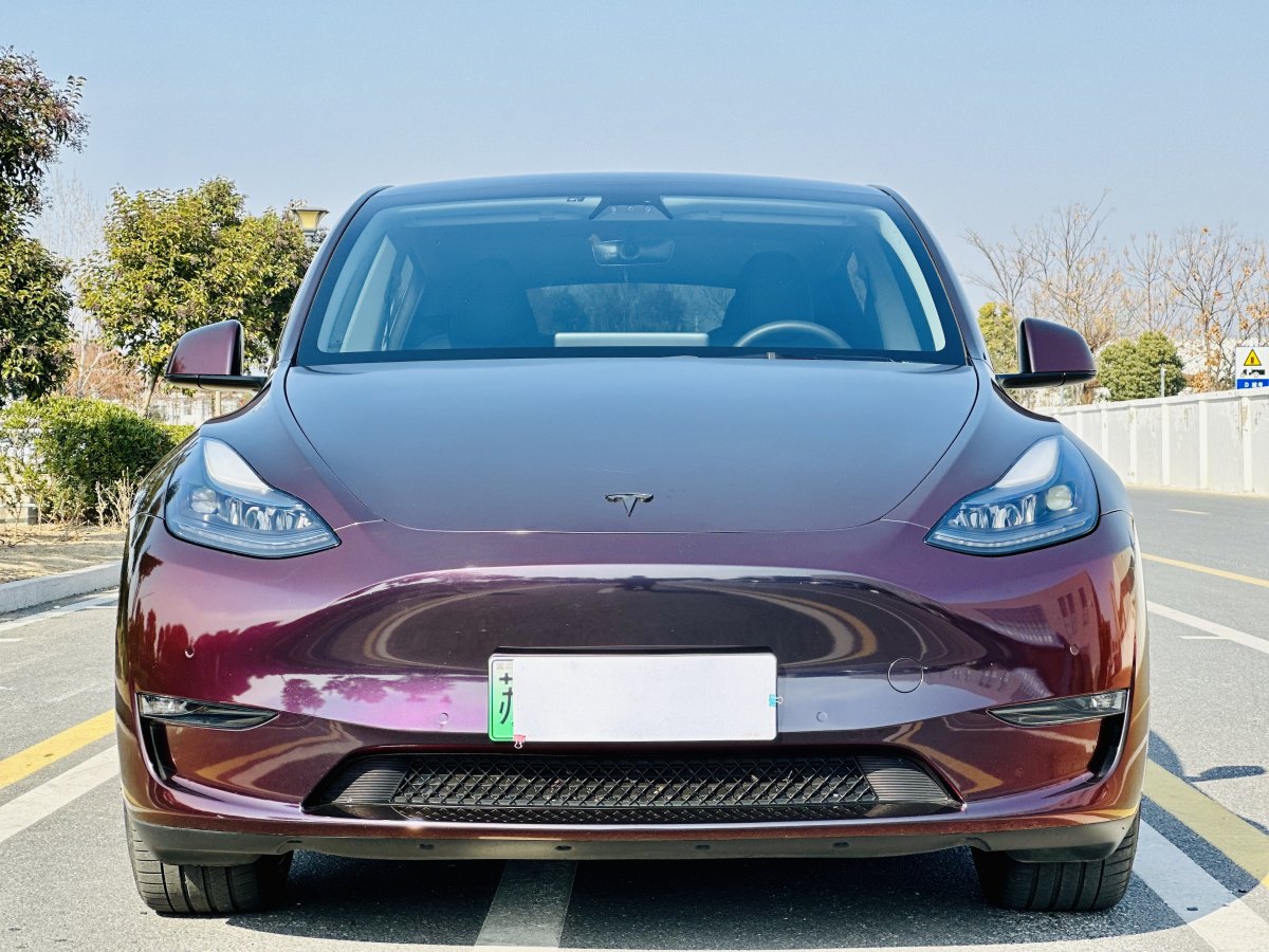 特斯拉 Model 3  2021款 改款 Performance高性能全輪驅(qū)動(dòng)版圖片