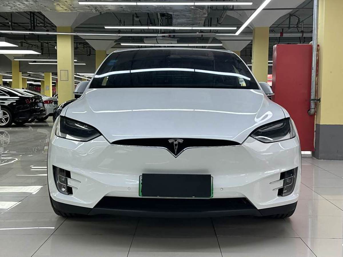 特斯拉 Model X  2019款 長續(xù)航版圖片