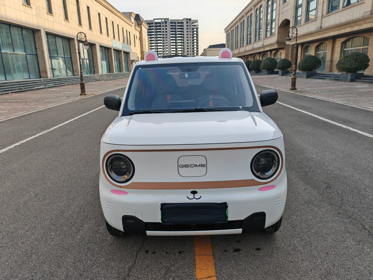 2024年10月吉利 熊貓mini  2023款 200km 耐力熊