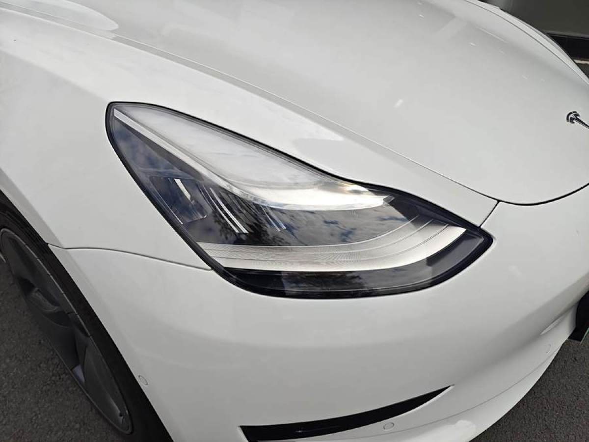 特斯拉 Model 3  2019款 標(biāo)準(zhǔn)續(xù)航后驅(qū)升級版圖片