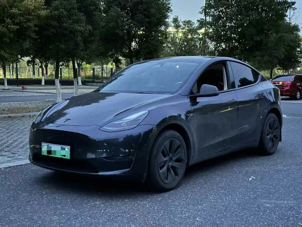 特斯拉 Model Y  2024款 Performance高性能版圖片