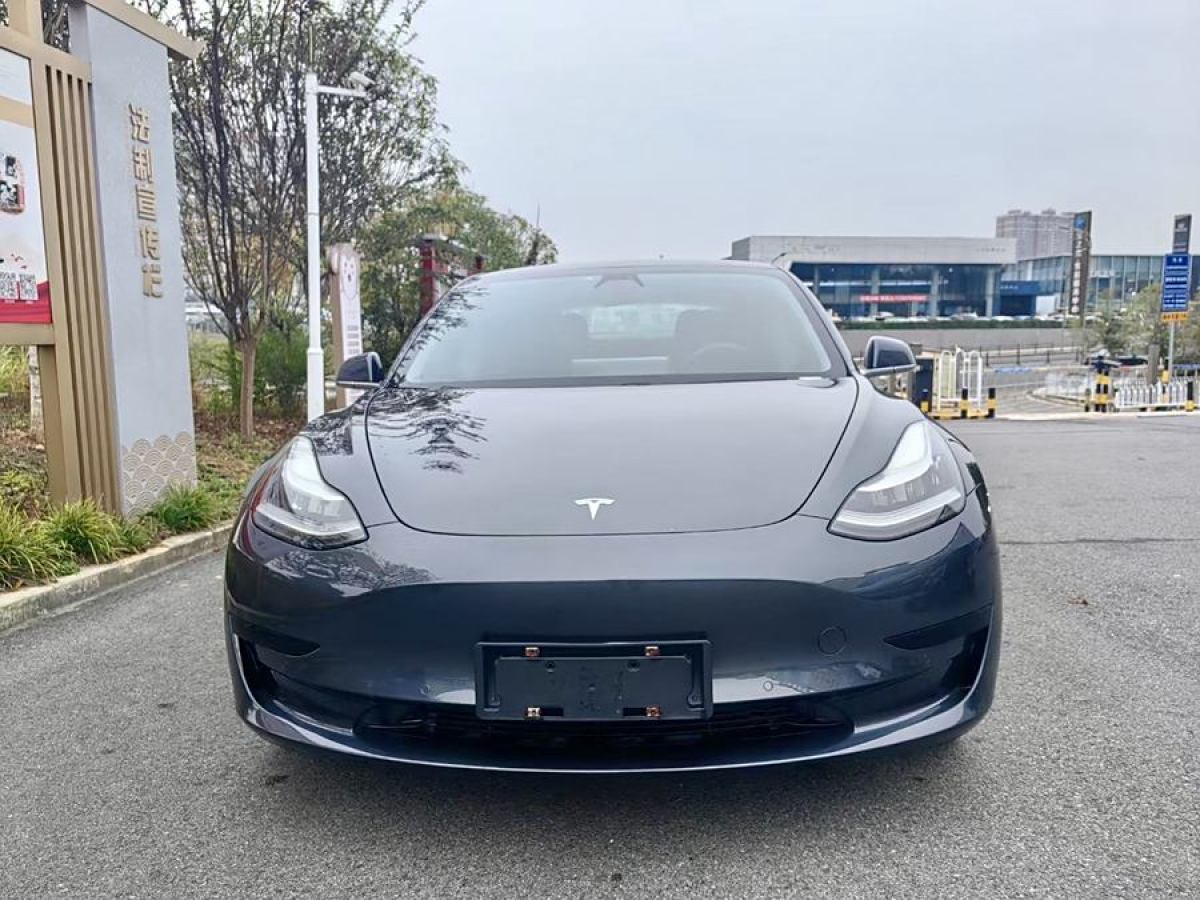 特斯拉 Model 3  2019款 標(biāo)準(zhǔn)續(xù)航后驅(qū)升級(jí)版圖片