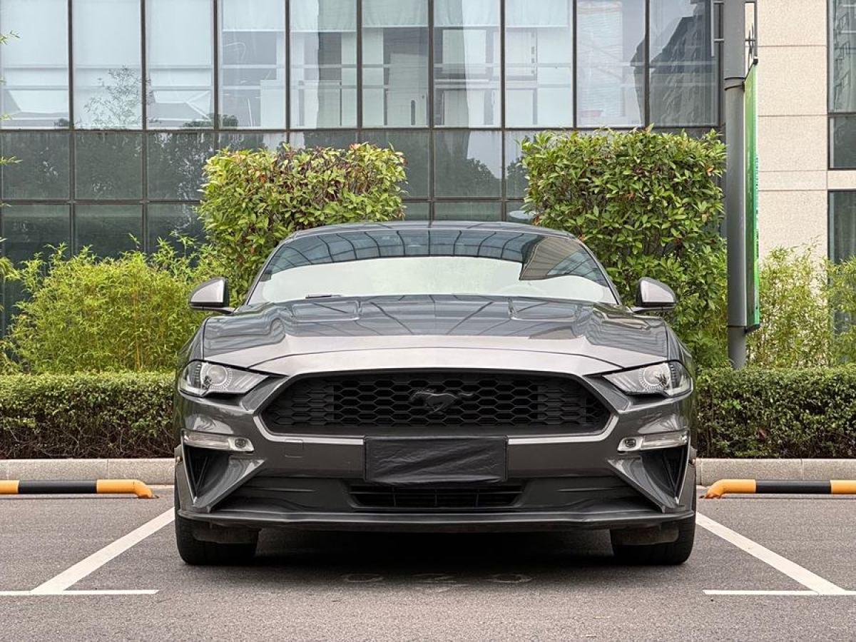 福特 Mustang  2020款 2.3L EcoBoost圖片