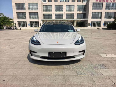2021年1月 特斯拉 Model 3 改款 標(biāo)準(zhǔn)續(xù)航后驅(qū)升級版圖片