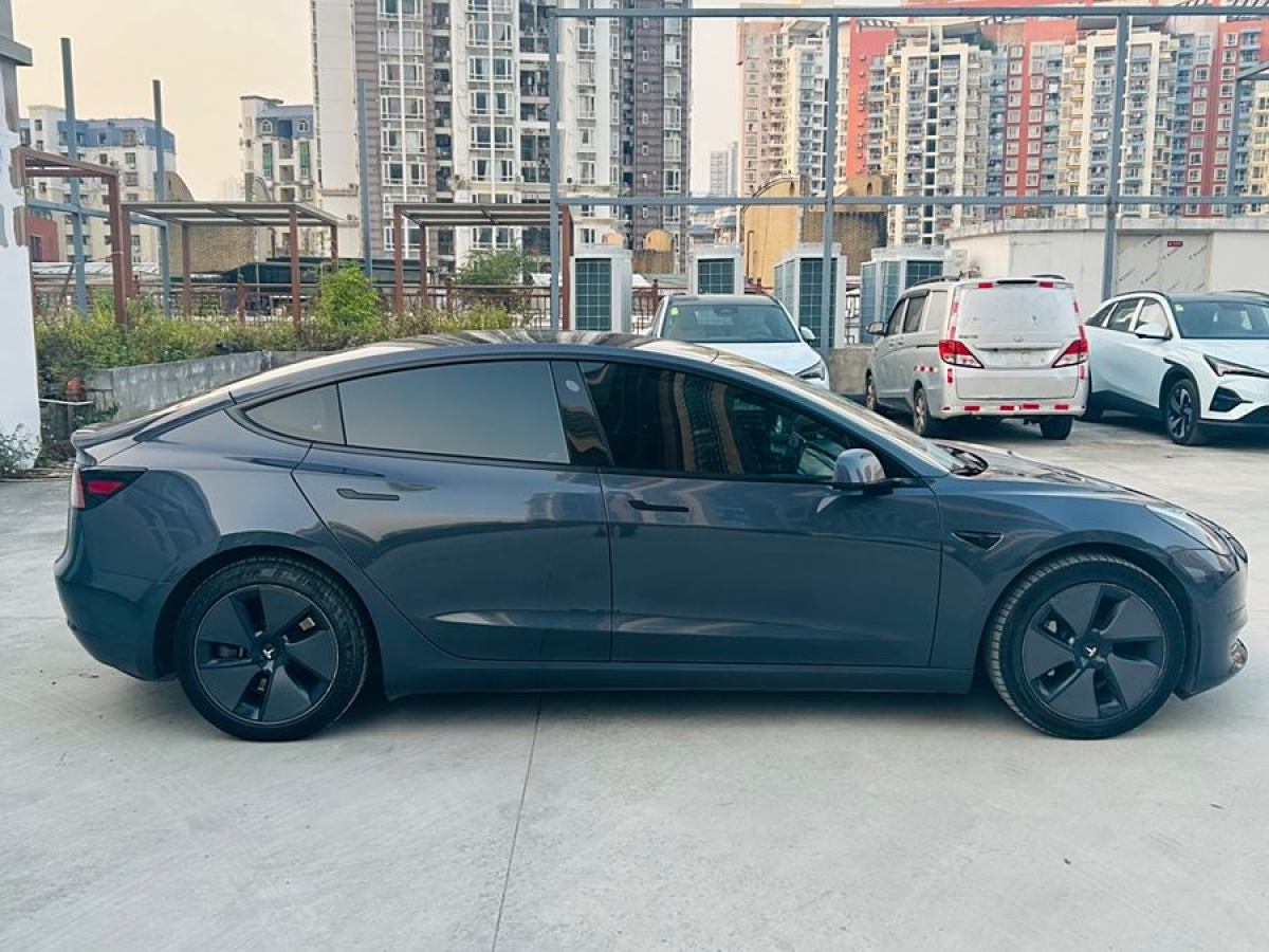 特斯拉 Model 3  2021款 改款 標準續(xù)航后驅(qū)升級版圖片