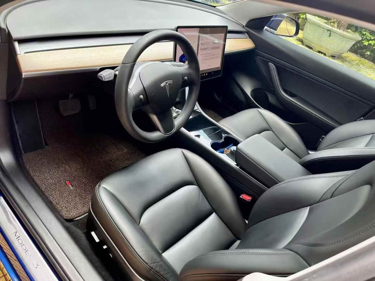 特斯拉 Model X  2020款 Performance 高性能版圖片