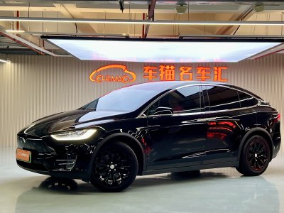 2019年6月 特斯拉 Model X Model X 75D圖片