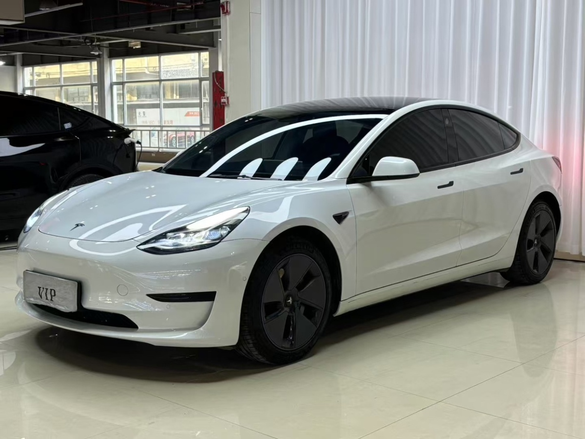 特斯拉 Model 3  2021款 標(biāo)準(zhǔn)續(xù)航后驅(qū)升級(jí)版 3D6圖片