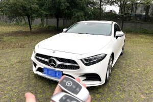 奔驰CLS级 奔驰 CLS 300 动感型