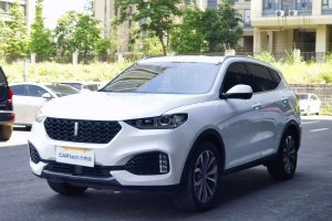 VV5 WEY  升級款 2.0T 四驅(qū)旗艦型 國VI