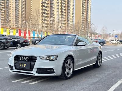 2016年9月 奧迪 奧迪A5(進(jìn)口) 改款 Cabriolet 45 TFSI 進(jìn)取型圖片