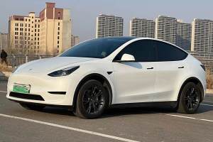 Model 3 特斯拉 改款 長(zhǎng)續(xù)航后輪驅(qū)動(dòng)版