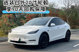 Model Y 特斯拉 長(zhǎng)續(xù)航全輪驅(qū)動(dòng)版 3D7