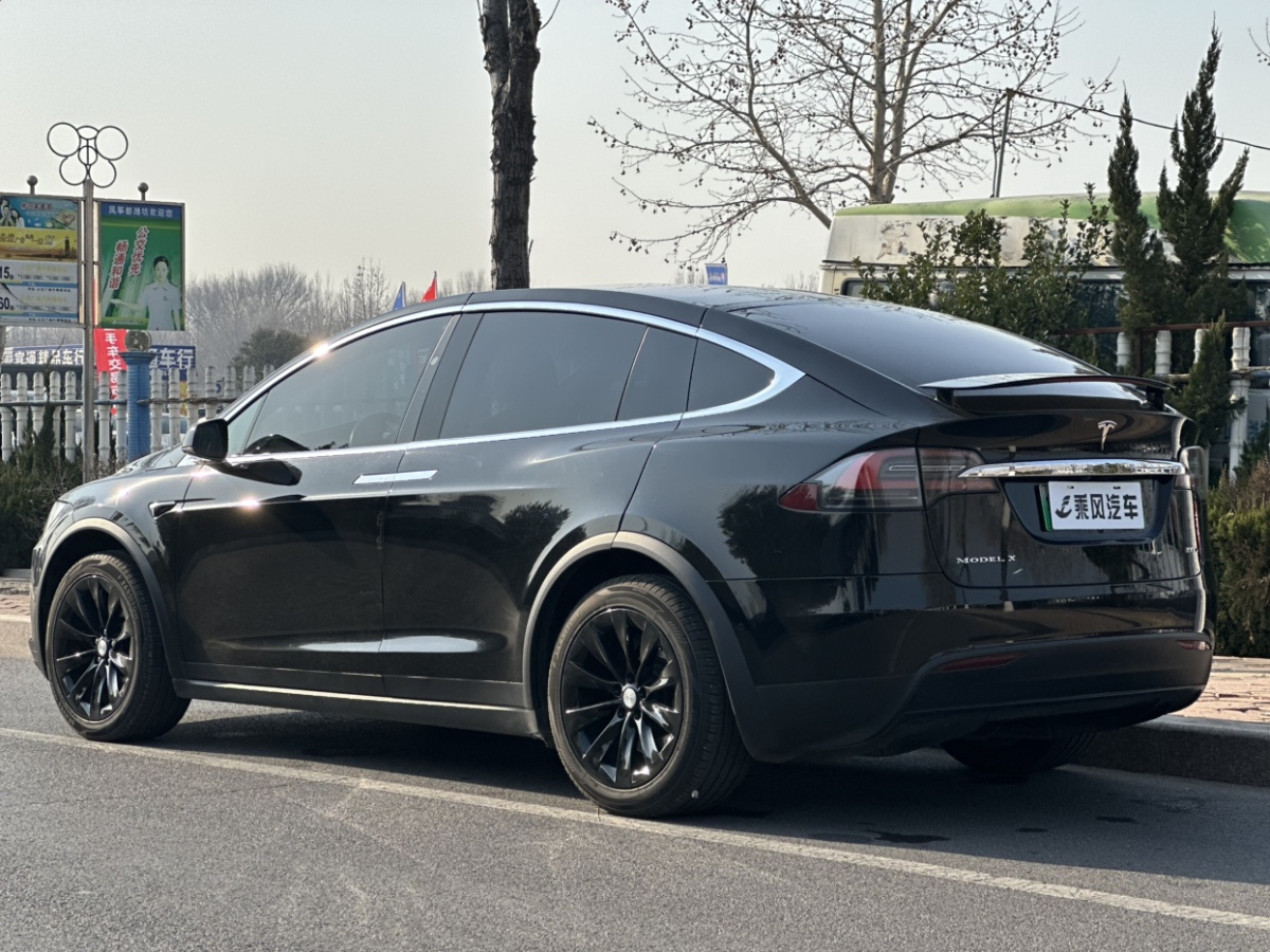 特斯拉 Model X  2016款 Model X 75D圖片