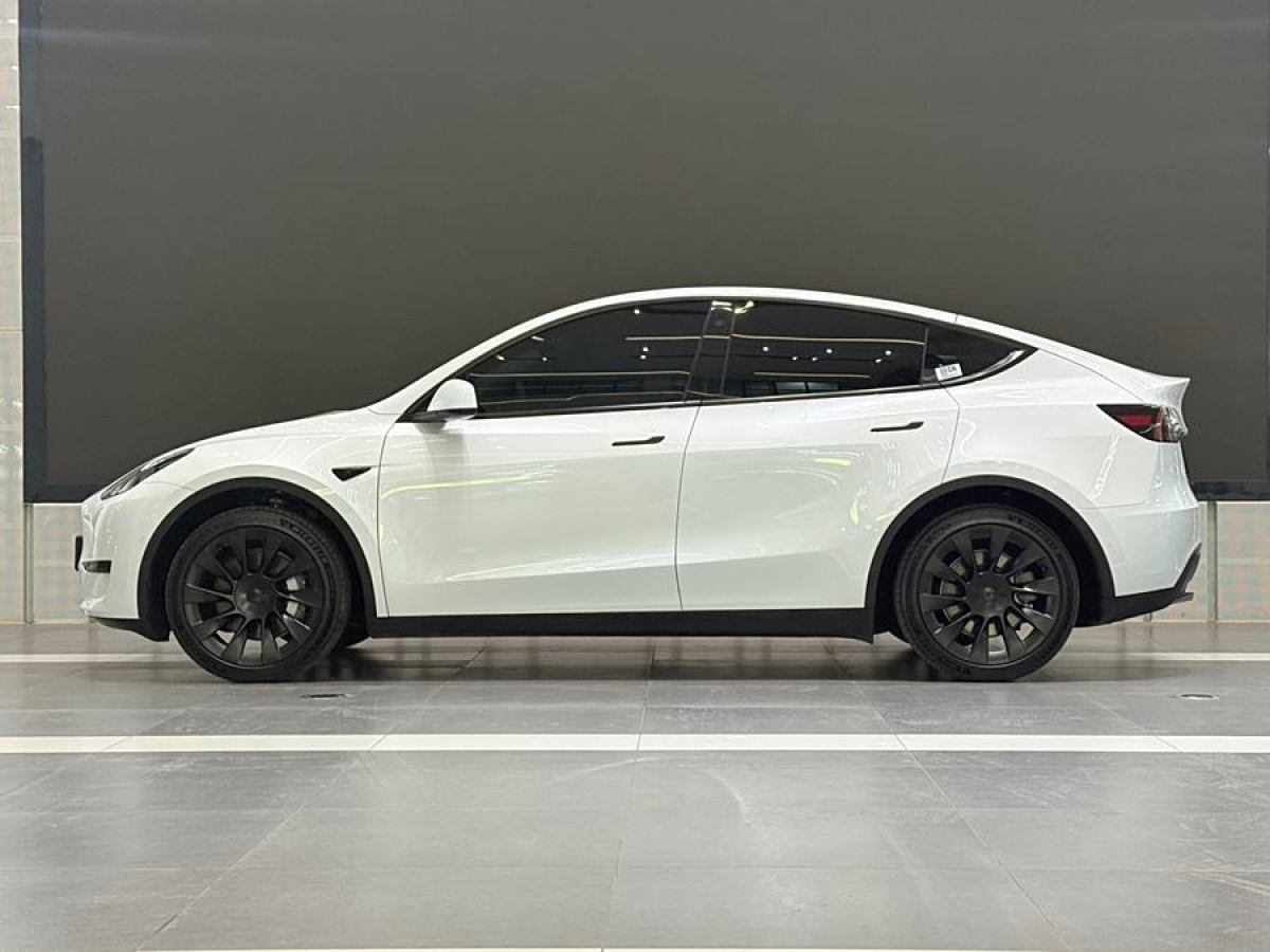 特斯拉 Model 3  2020款 改款 長續(xù)航后輪驅(qū)動版圖片