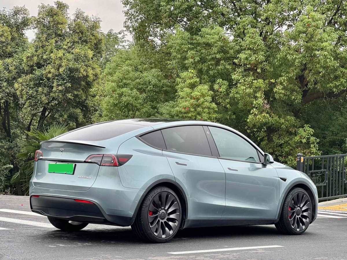 特斯拉 Model Y  2022款 Performance高性能全輪驅(qū)動版圖片