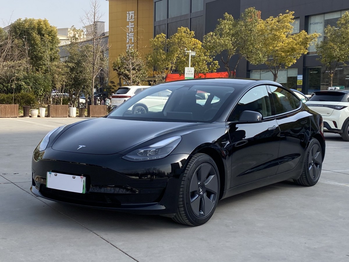 特斯拉 Model 3  2019款 標(biāo)準(zhǔn)續(xù)航后驅(qū)升級(jí)版圖片