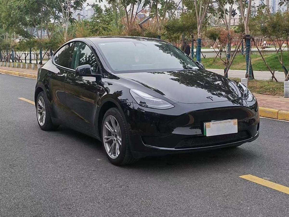 特斯拉 Model 3  2022款 后輪驅動版圖片