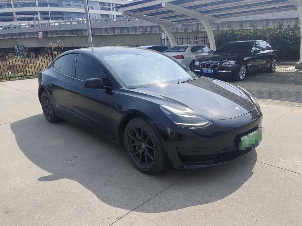 特斯拉 Model 3  2021款 標(biāo)準(zhǔn)續(xù)航后驅(qū)升級(jí)版 3D6圖片