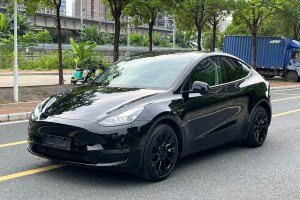 Model Y 特斯拉 標(biāo)準(zhǔn)續(xù)航后驅(qū)版