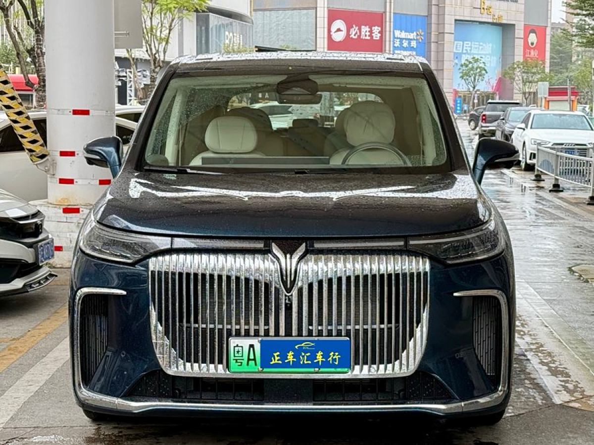 嵐圖 夢(mèng)想家  2024款 PHEV 超長續(xù)航尊貴版圖片