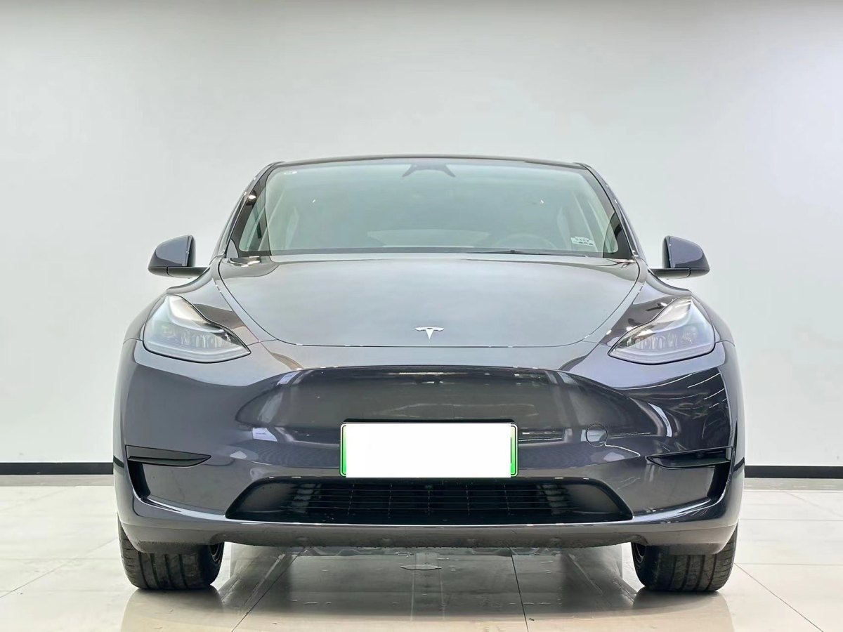 2024年8月特斯拉 Model Y  2020款 改款 長續(xù)航后輪驅(qū)動版