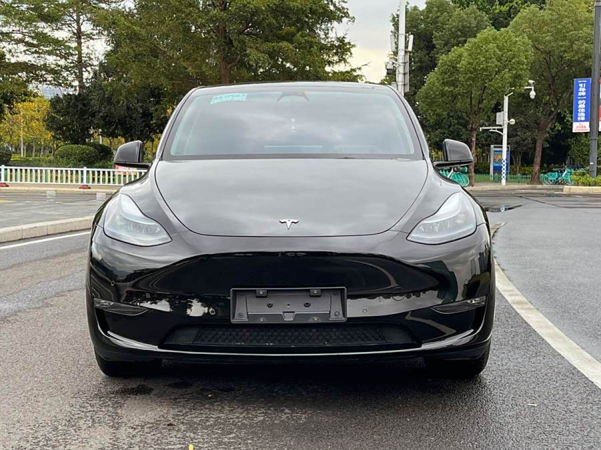 特斯拉 Model Y  2022款 改款 長(zhǎng)續(xù)航全輪驅(qū)動(dòng)版圖片