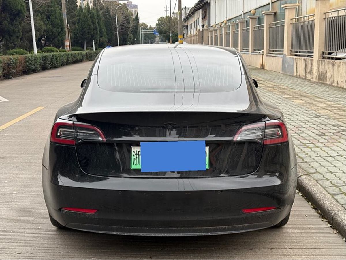 特斯拉 Model 3  2020款 改款 標(biāo)準(zhǔn)續(xù)航后驅(qū)升級(jí)版圖片