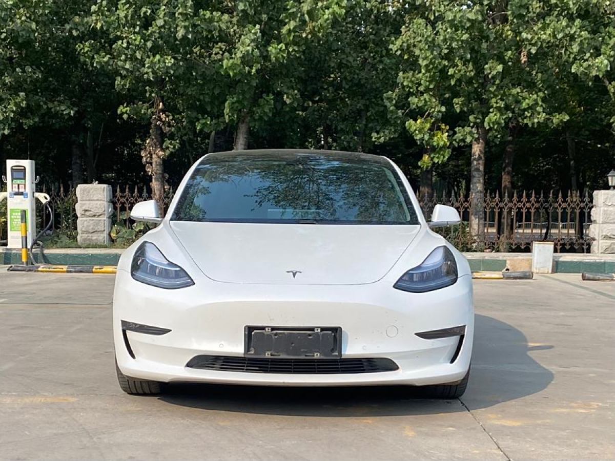 特斯拉 Model Y  2020款 改款 長(zhǎng)續(xù)航后輪驅(qū)動(dòng)版圖片