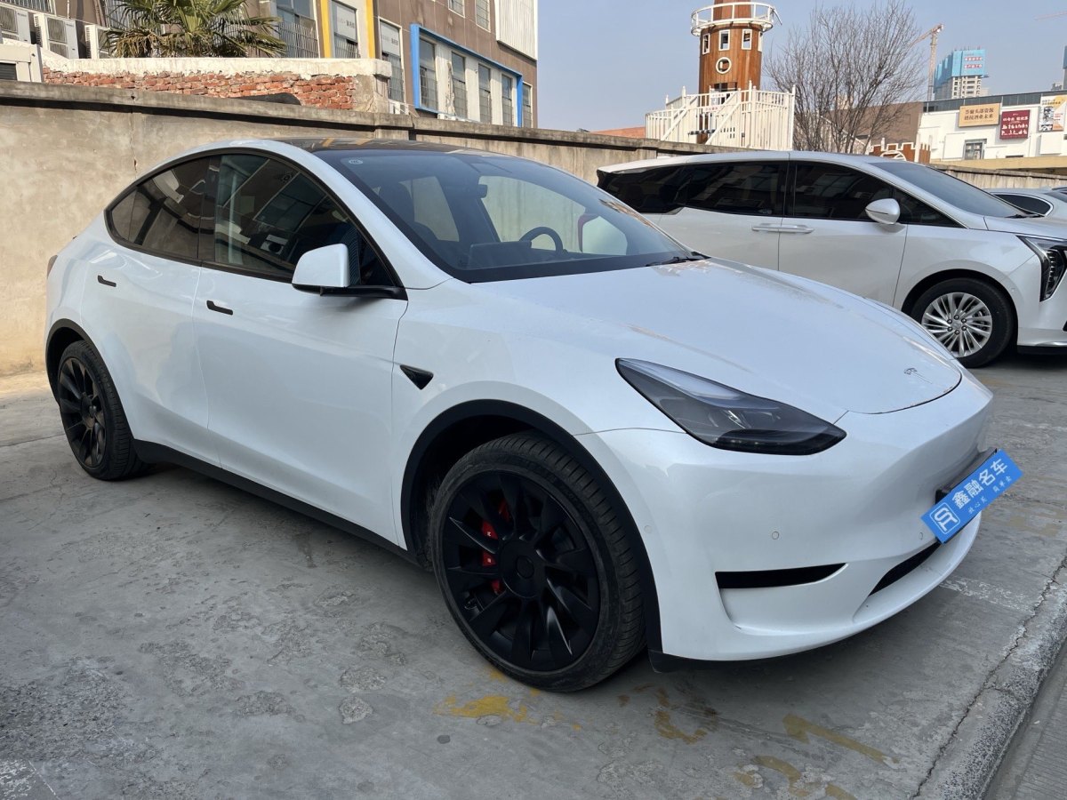 特斯拉 Model 3  2020款 改款 長續(xù)航后輪驅(qū)動版圖片