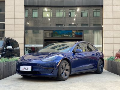 2021年2月 特斯拉 Model 3 标准续航后驱升级版图片