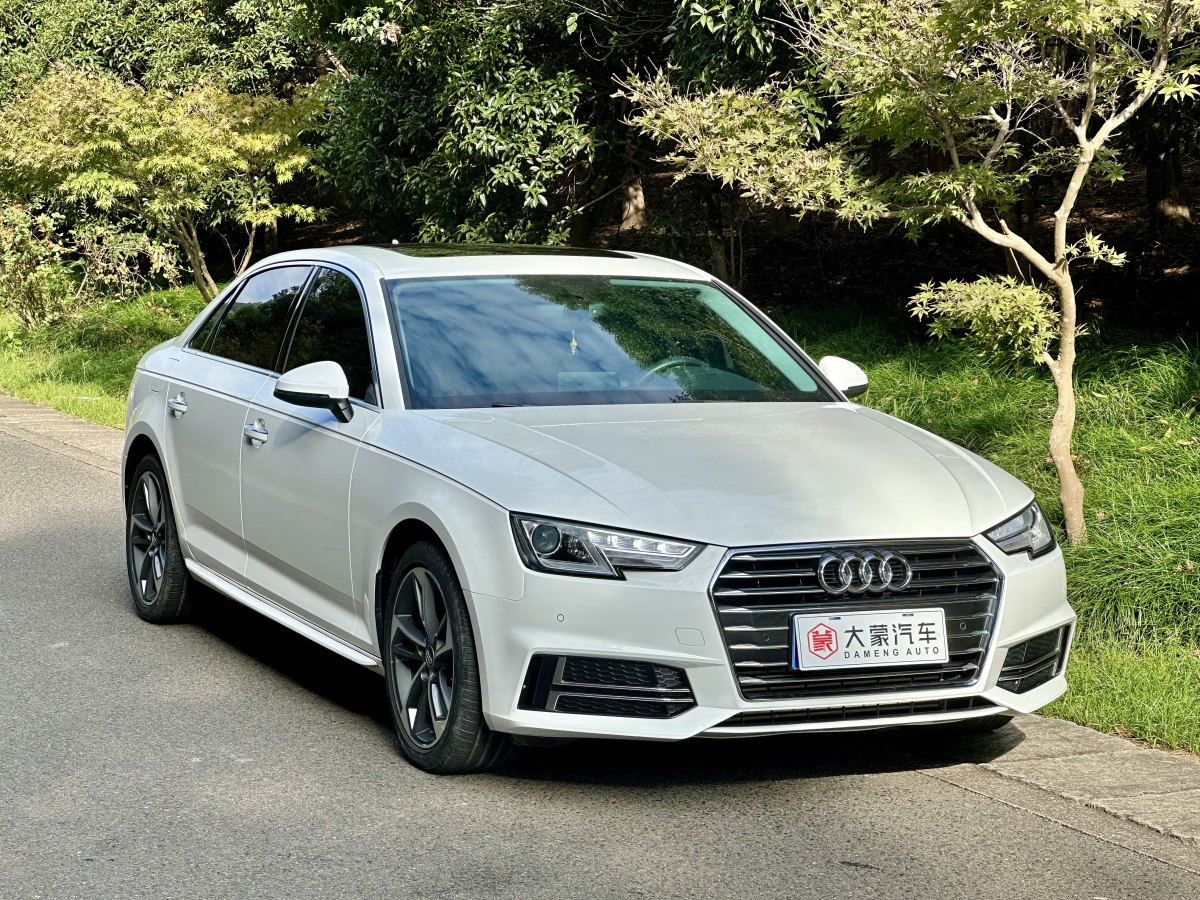 2019年2月奧迪 奧迪A4L  2019款 40 TFSI 進(jìn)取型 國(guó)V