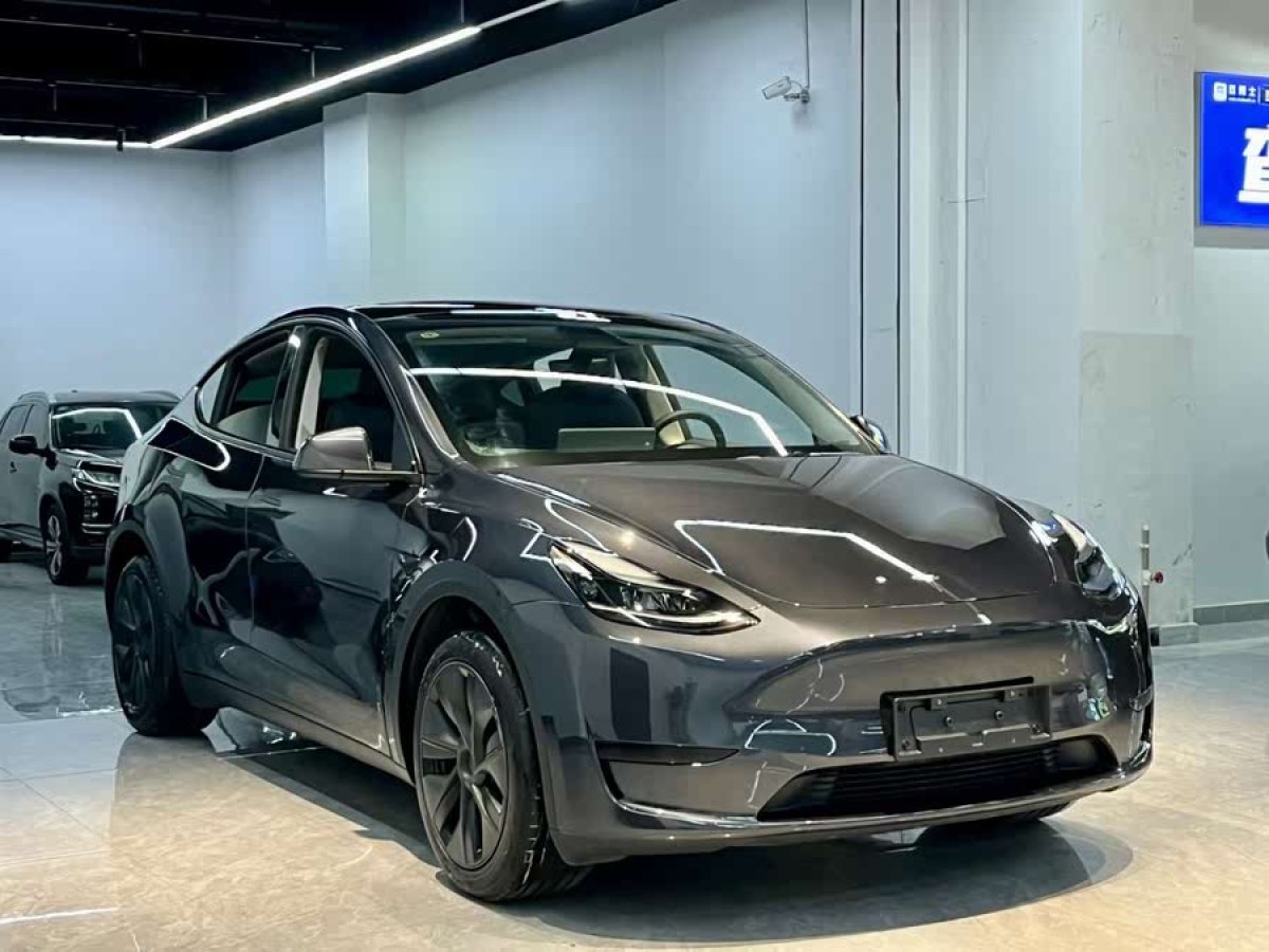 特斯拉 Model Y  2024款 后輪驅(qū)動(dòng)版圖片