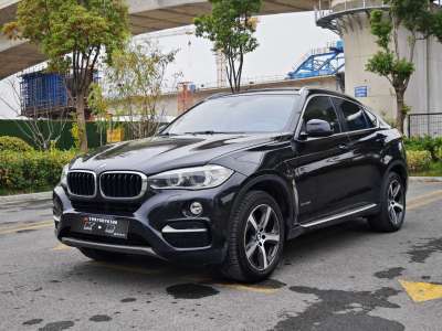 2015年06月 寶馬 寶馬X6(進口) xDrive35i 領(lǐng)先型圖片