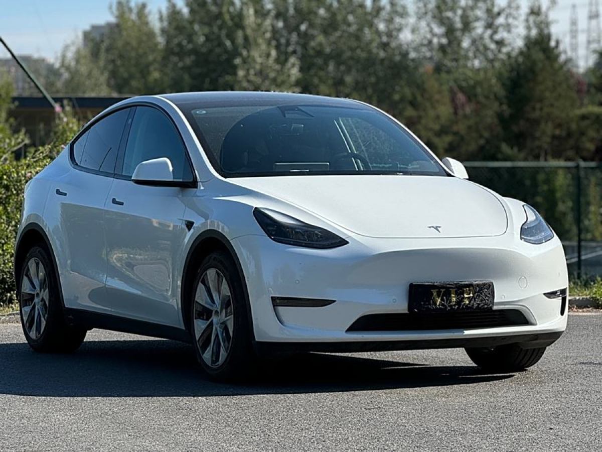 2021年6月特斯拉 Model 3  2021款 改款 長續(xù)航全輪驅(qū)動版