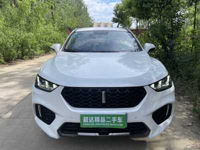 2019年6月 WEY VV5 2.0T 两驱终结版图片