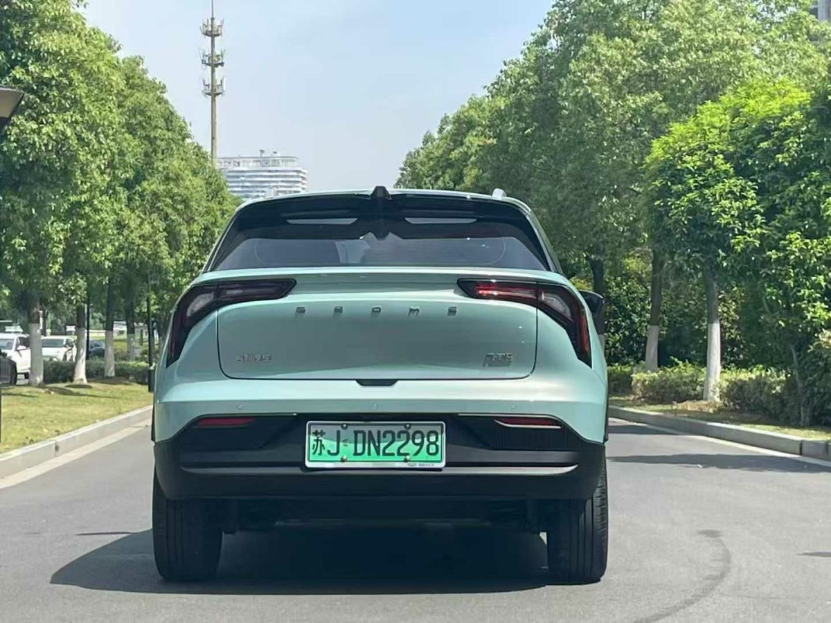 幾何 幾何A  2024款 410KM 公務(wù)版圖片