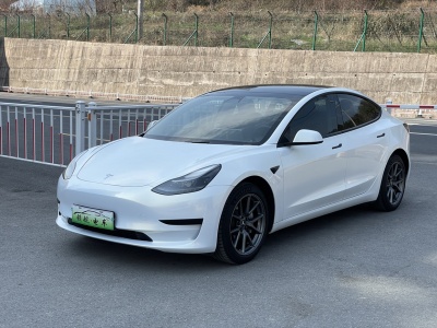 2021年6月 特斯拉 Model 3 標(biāo)準(zhǔn)續(xù)航后驅(qū)升級(jí)版圖片