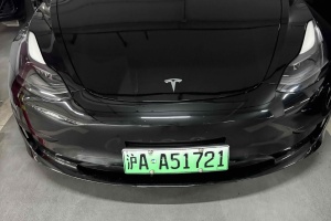 Model 3 特斯拉 改款 標準續(xù)航后驅(qū)升級版