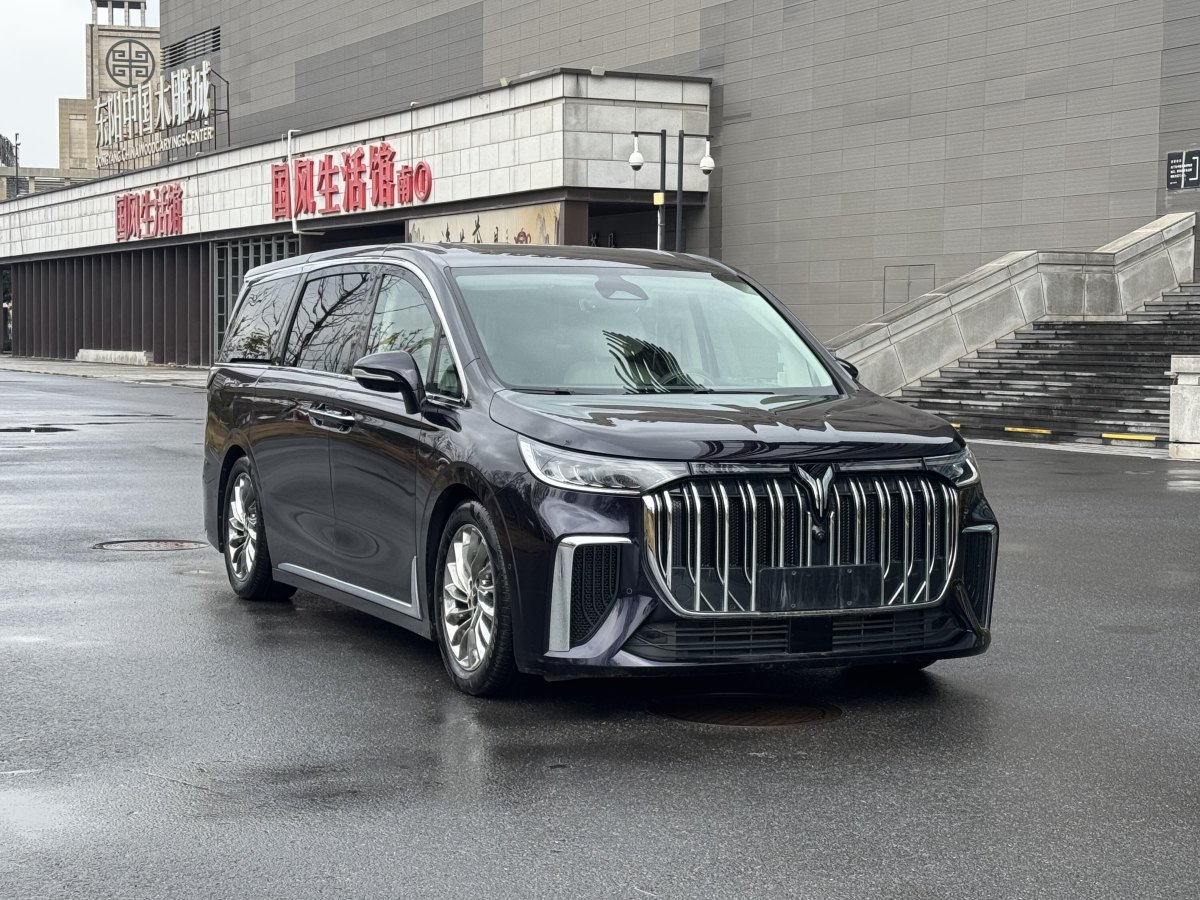 嵐圖 夢想家  2024款 PHEV 超長續(xù)航旗艦版圖片