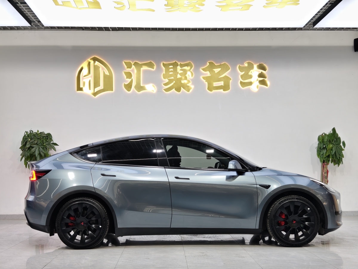 特斯拉 Model 3  2020款 改款 長續(xù)航后輪驅(qū)動版圖片