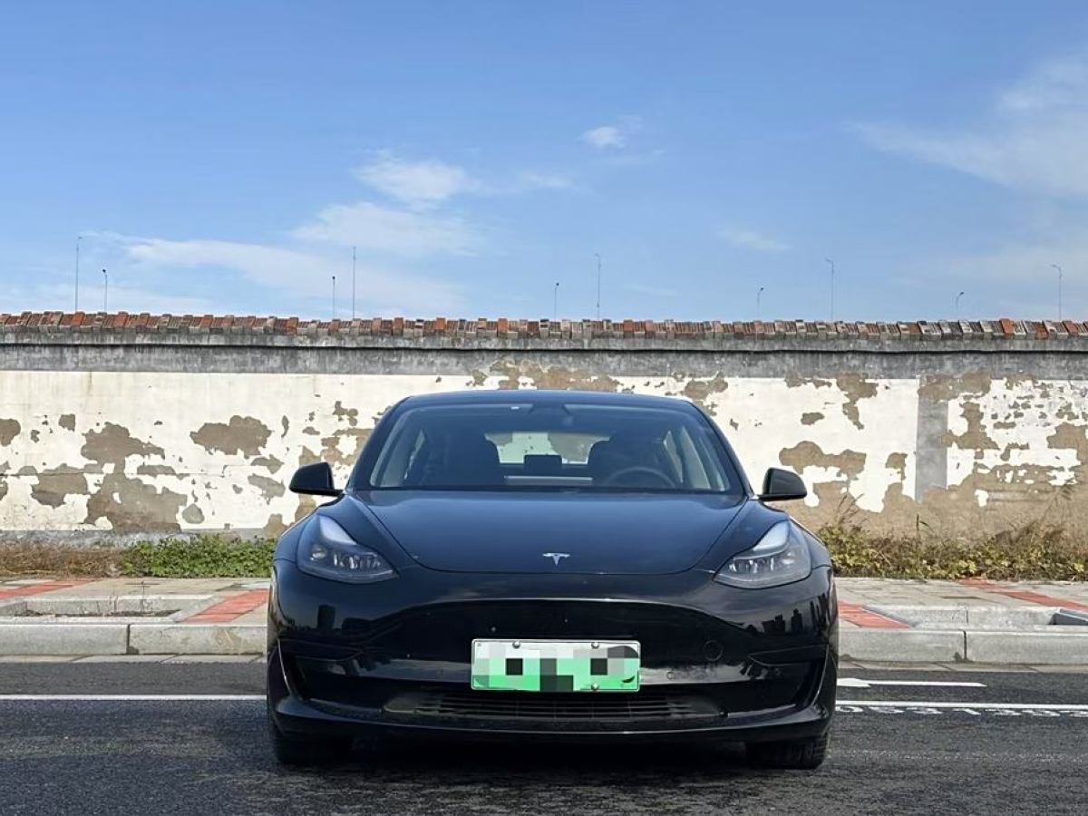 特斯拉 Model 3  2021款 改款 標(biāo)準(zhǔn)續(xù)航后驅(qū)升級版圖片