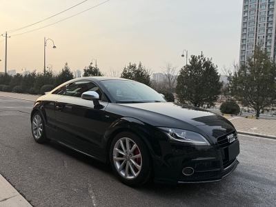 2014年2月 奧迪 奧迪TT(進口) TT Coupe 45 TFSI 悅尚型圖片