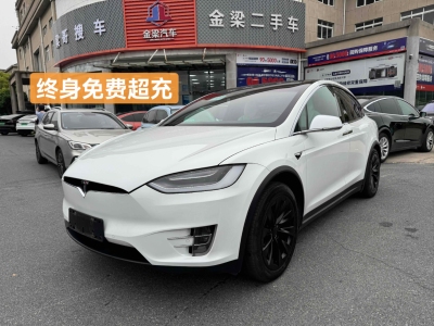 2017年10月 特斯拉 Model X Model X 100D 長續(xù)航版圖片