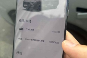 蔚來EC6 蔚來 440KM 性能版